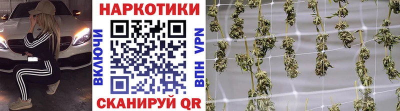 Виды наркотиков купить Камышин КОКАИН АМФЕТАМИН МЕФ ГАШ Марихуана