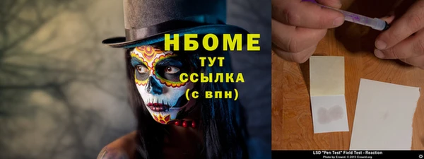 дурь Няндома