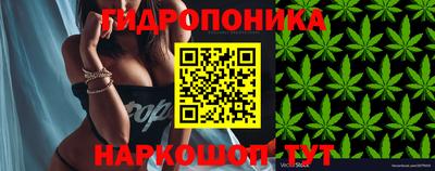 стаф Кулебаки