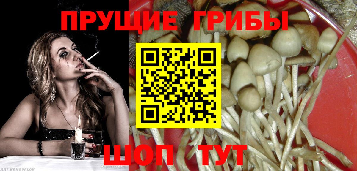 ГАШИШ Камышин