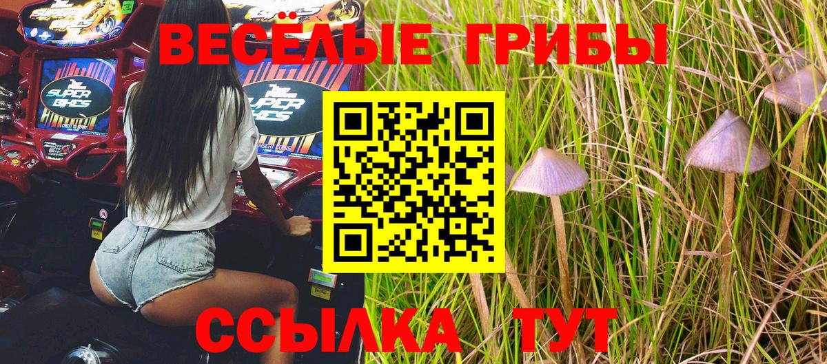 Псилоцибиновые грибы мицелий  Вход с VPN  Камышин 