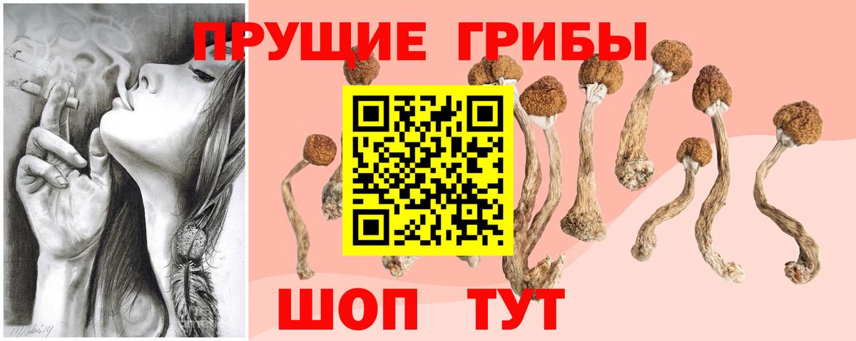 Галлюциногенные грибы MAGIC MUSHROOMS Камышин